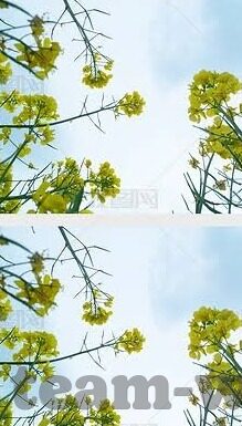 琛球足球即时比分-琛球足球即时比分，球迷的实时观赛指南针