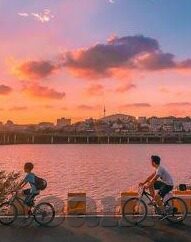 水果机19119澳门公司-水果机与澳门公司的奇妙结合，创新娱乐产业的融合实践
