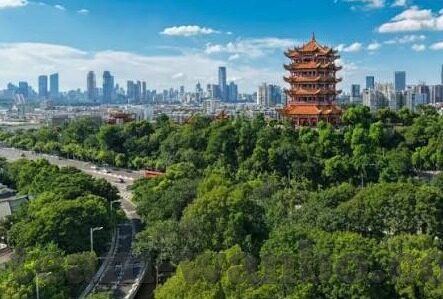 微球足球比分软件-微球足球比分软件，球迷的掌上赛事指南与数据宝库